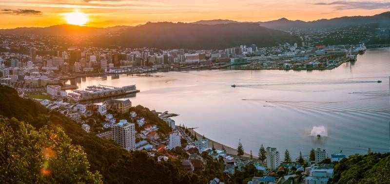 Scenic Wellington From Mt Vic